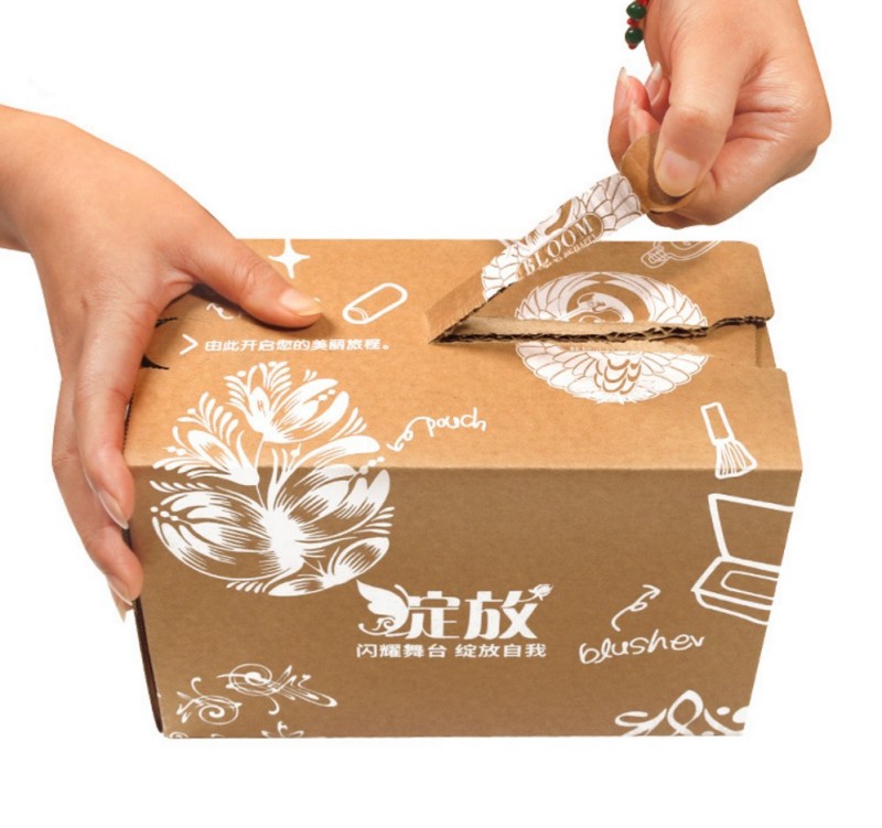 Packaging box na may siper
